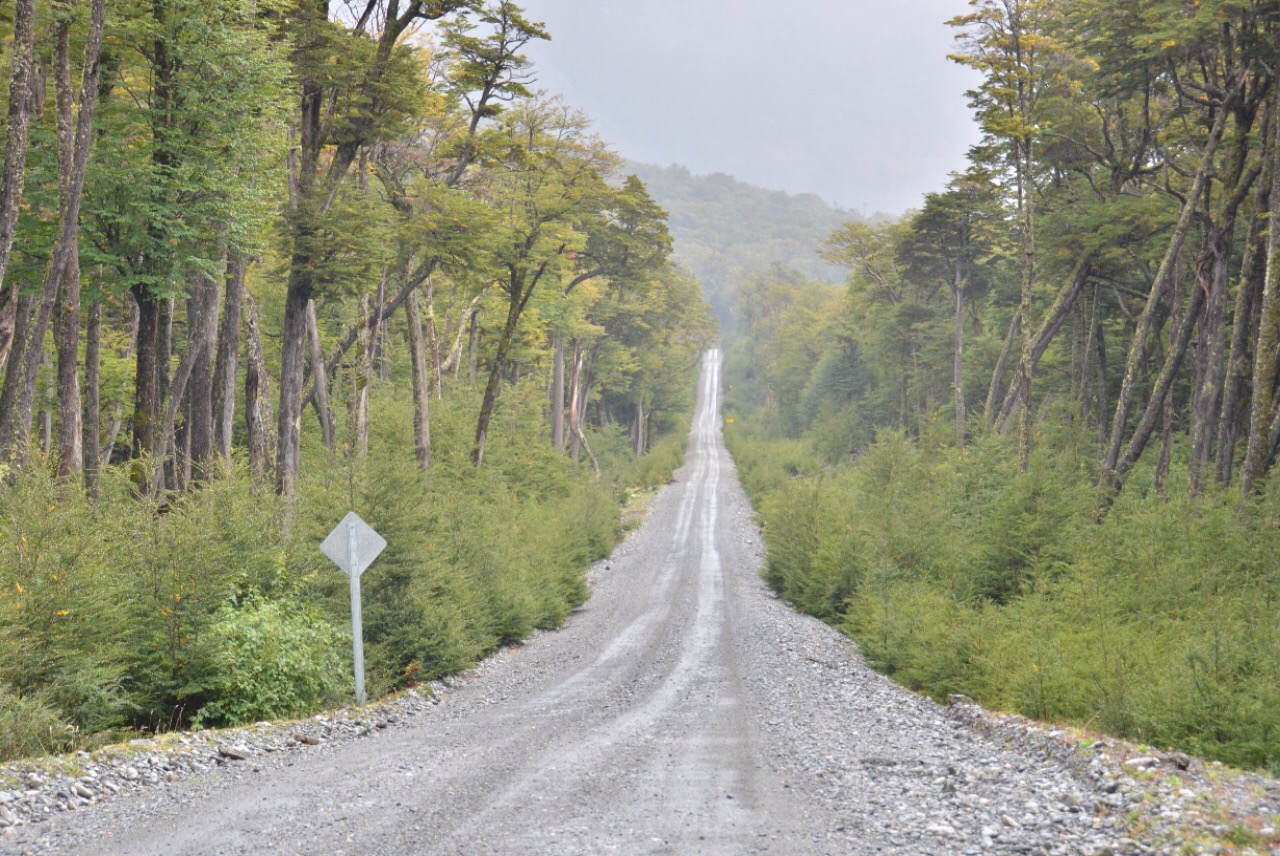Kilometerweit gehts sauf Schotterpisten durch den Urwald