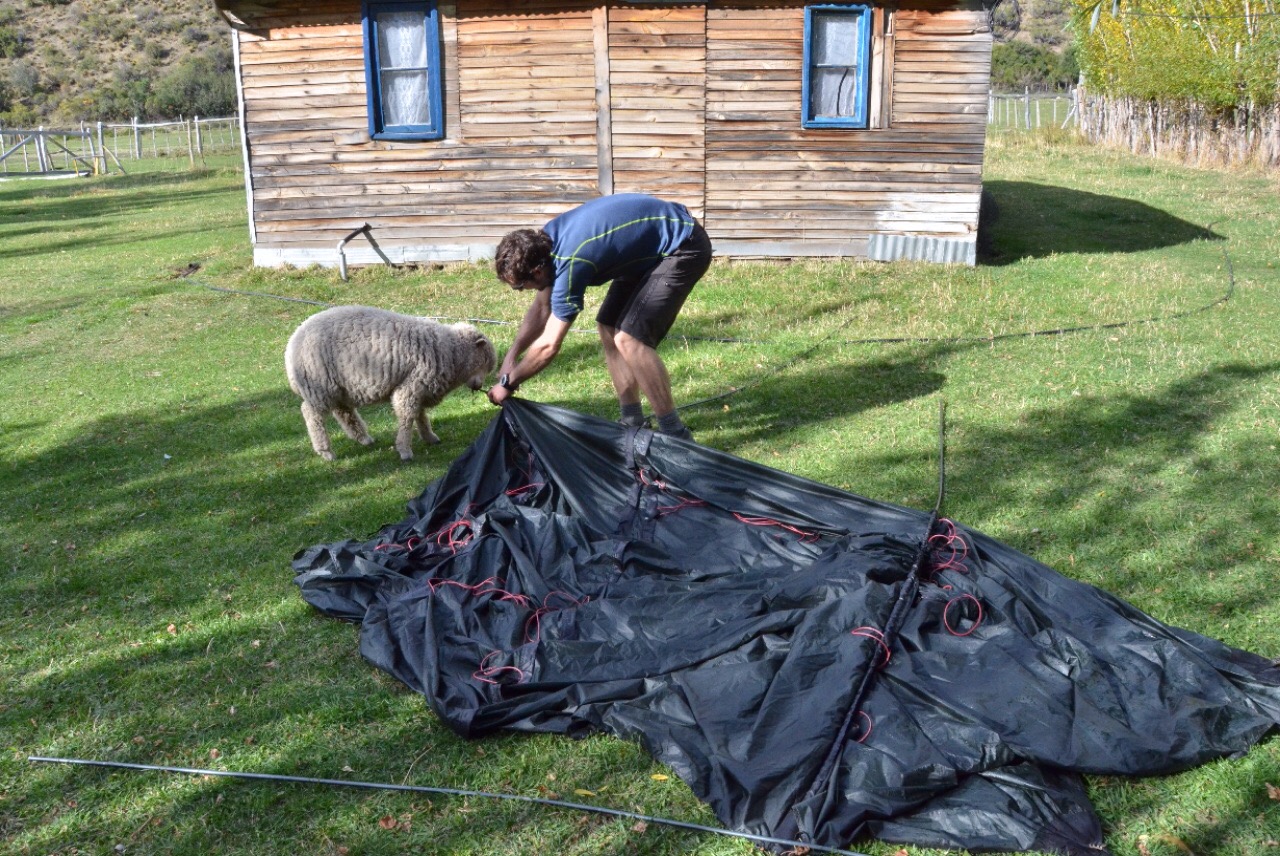 Wir haben unsere Mühe mit Pepo