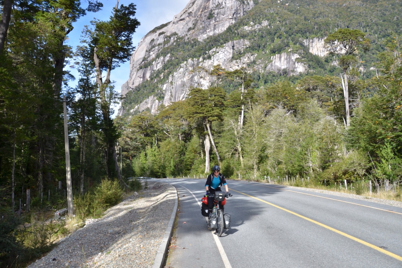 Die Strasse führt nun durch den Regenwald Die Strasse führt nun durch den Regenwald