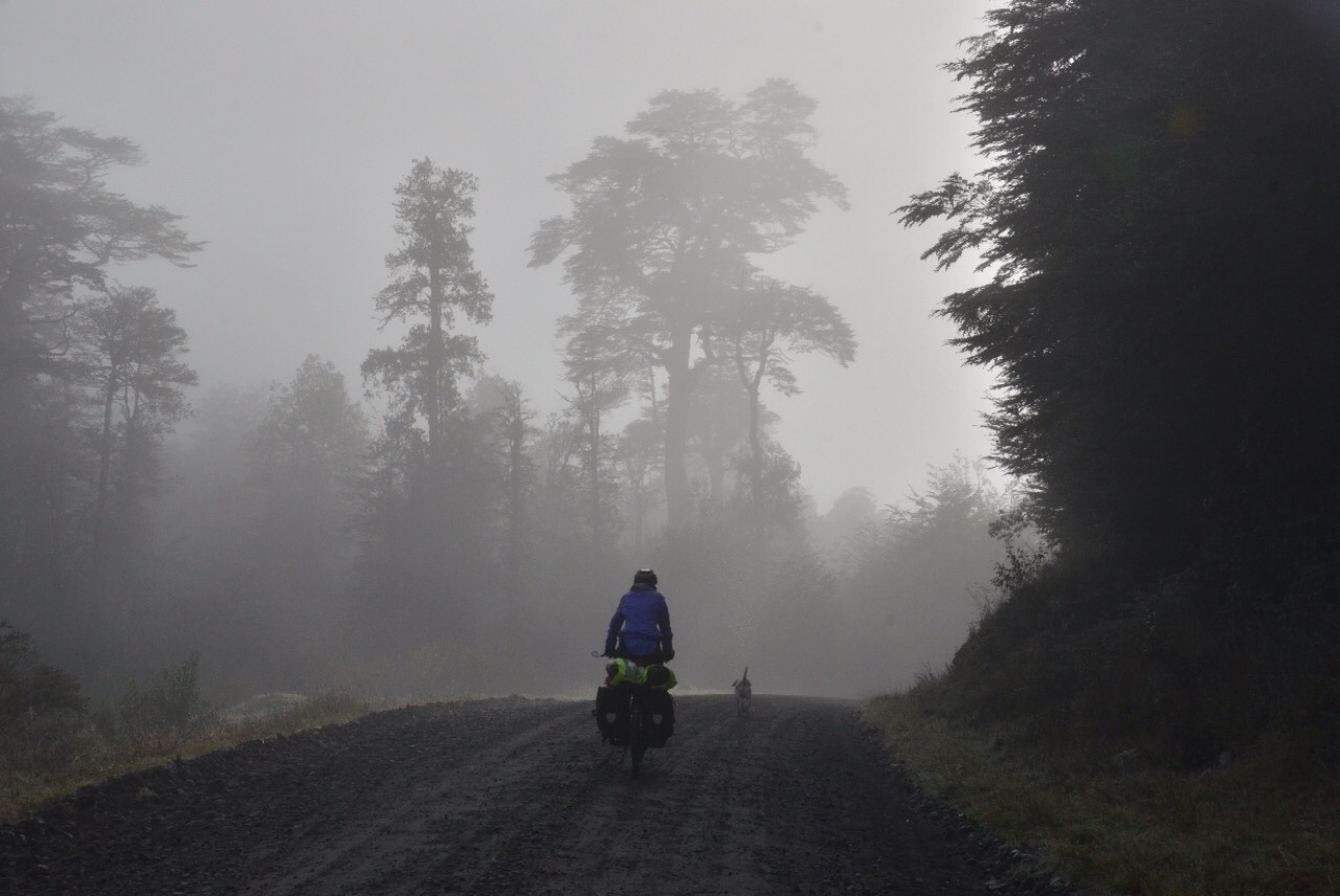 Nebel hat eben auch was!