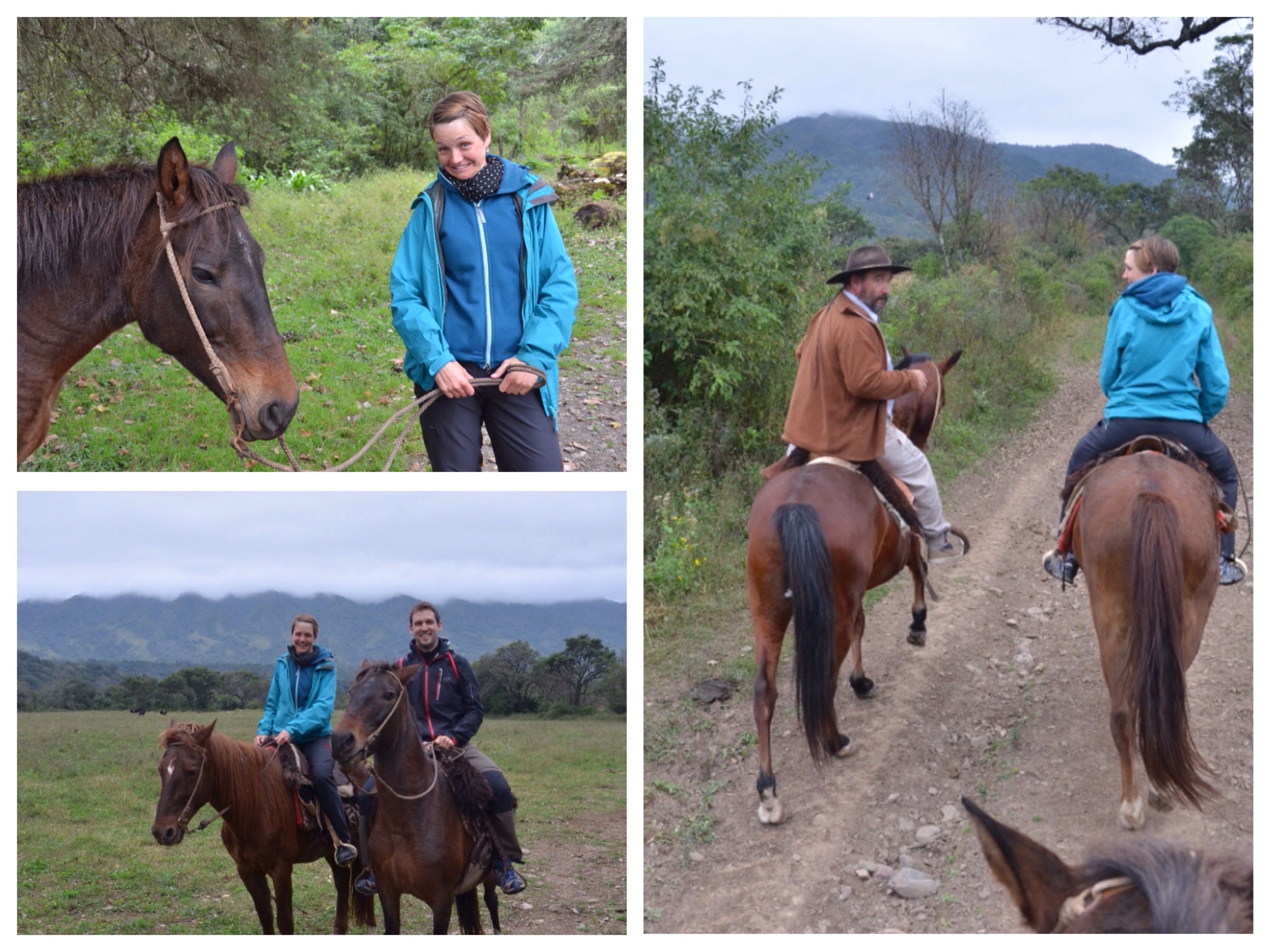 Die Skepsis ist  schnell verflogen: zum Glück läuft nur Eduardos Pferd elegant im Passgang!