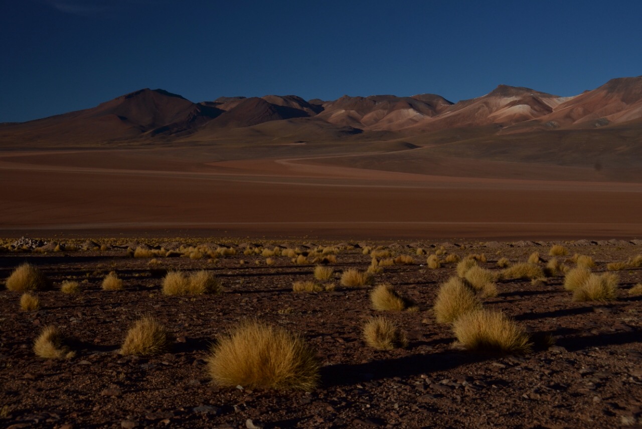 Immerhin die Farben sind warm!