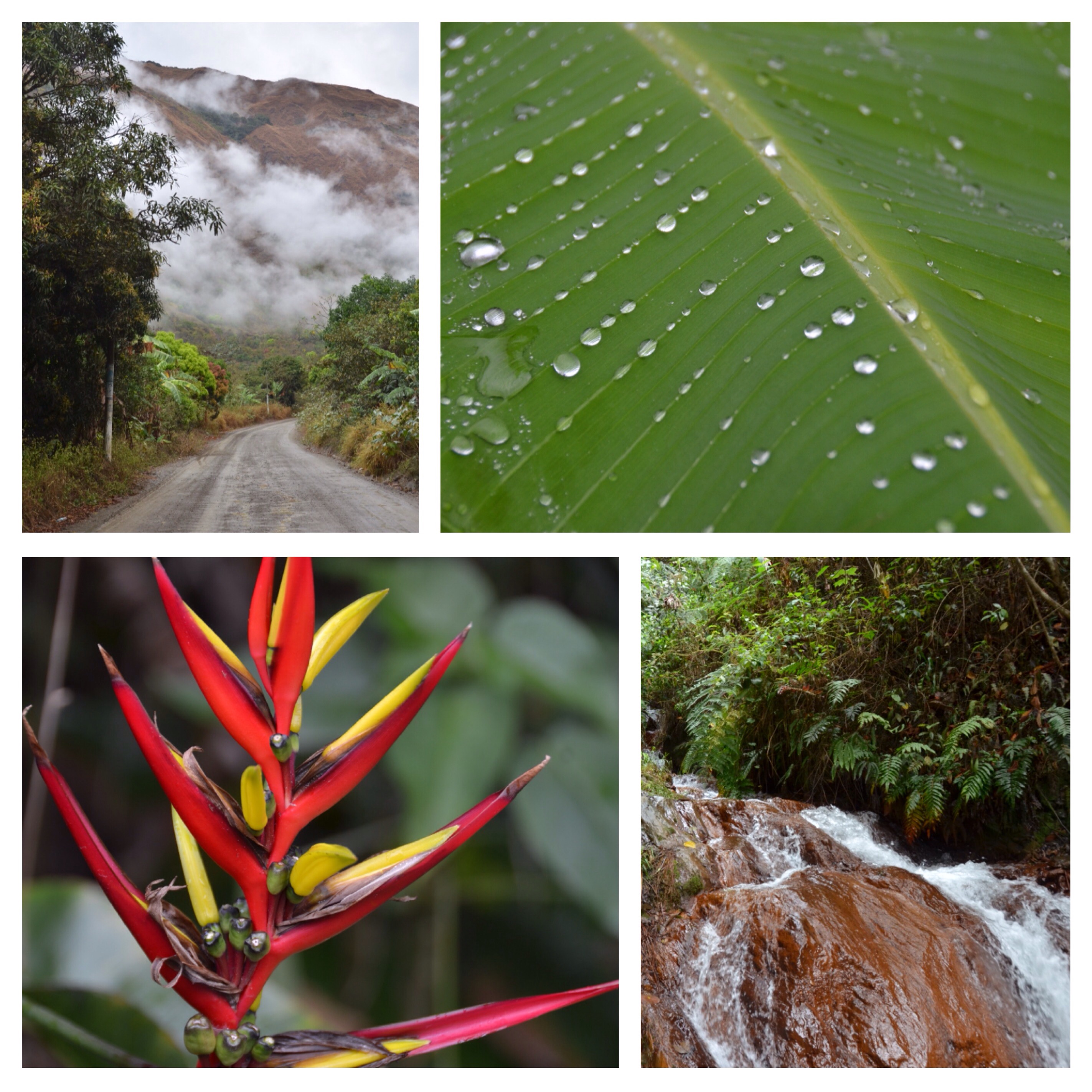 Regen-Märli-Landschaft
