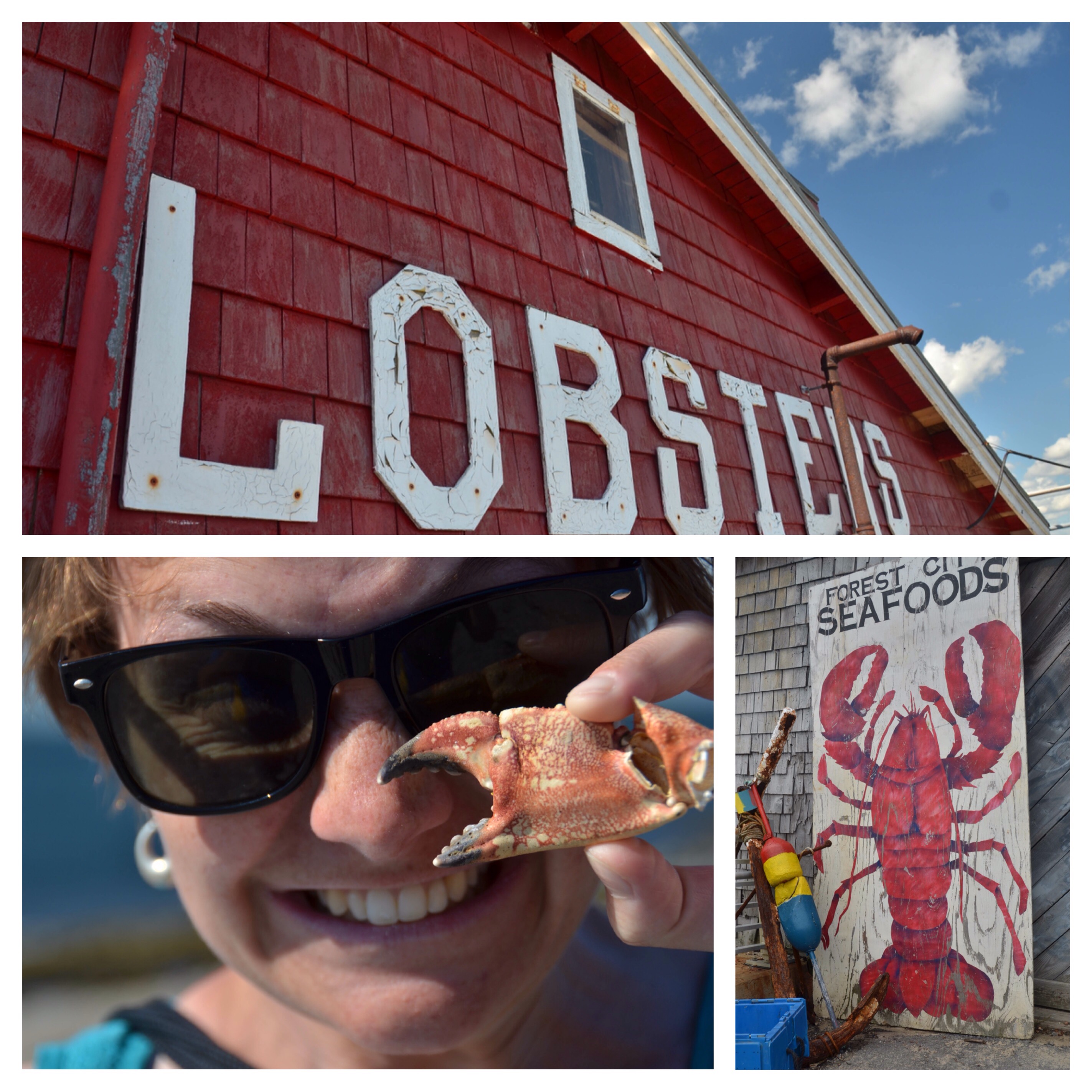 Lobsta land
